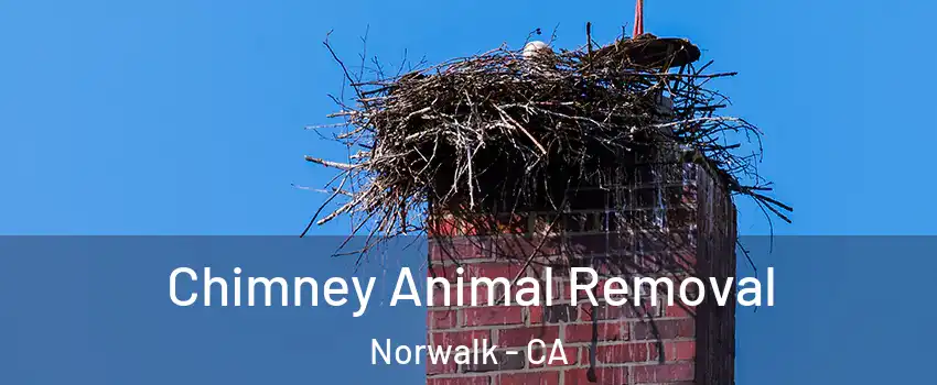  Chimney Animal Removal Norwalk - CA